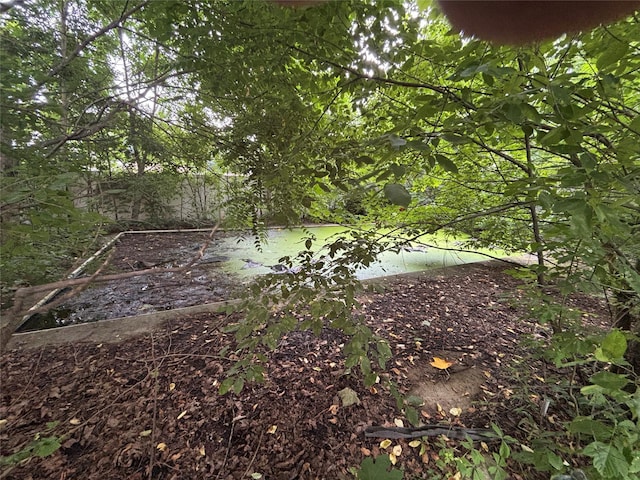 577 Wheeler Hill Rd, Wappingers Falls, NY 12590 - view of local wilderness