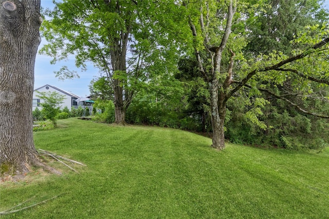 46 Laffin Ln, Poughkeepsie, NY 12603 - view of green lawn
