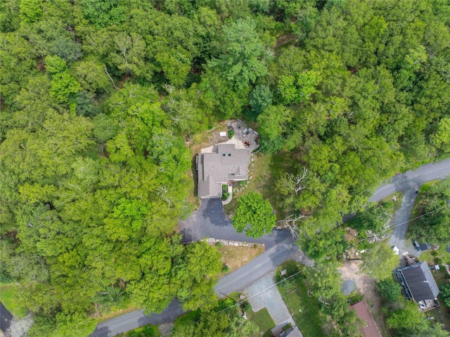 224 Lake Shore Dr, Monticello, NY 12701 - photo 4