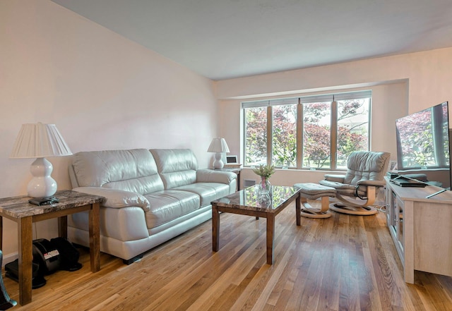 26 Comanche, Commack, NY 11725 - living room with light wood finished floors