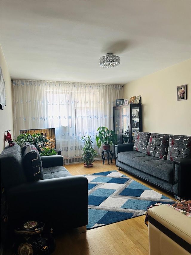 2620 E 13th St Unit 4D, Brooklyn, NY 11235 - living area featuring wood finished floors