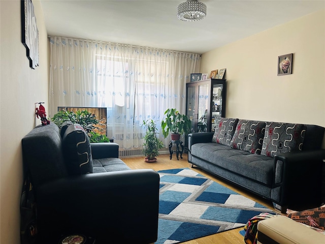2620 E 13th St Unit 4D, Brooklyn, NY 11235 - living room featuring wood finished floors