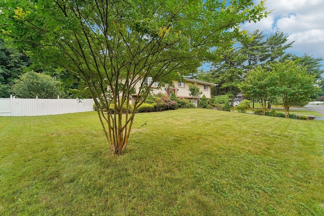 30 Birchwood Ter, Nanuet, NY 10954 - view of yard
