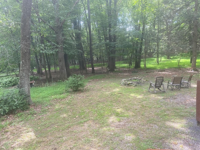 55 Woodcrest Dr, Middletown, NY 10940 - view of yard