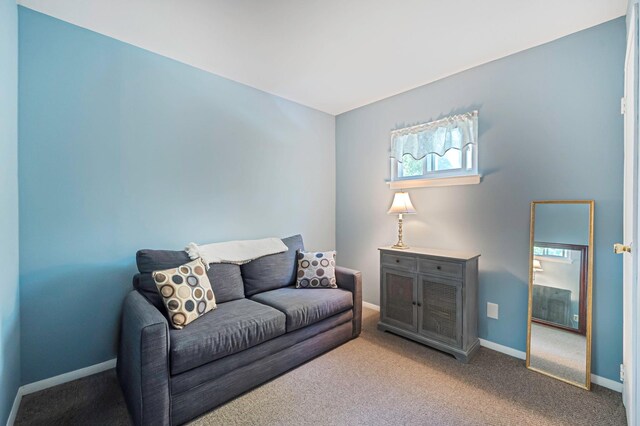 155 Stuyvesant Dr, Port Jefferson Station, NY 11776 - photo 16