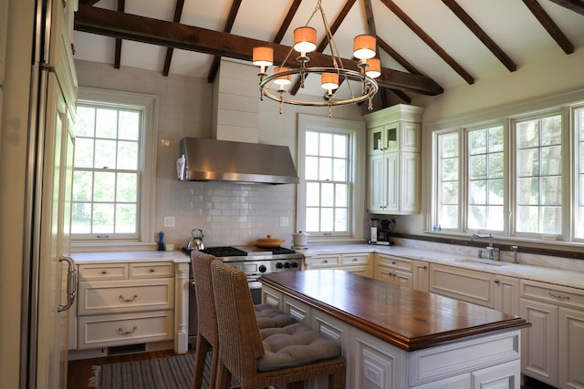 15 Abbey Crk, East Islip, NY 11730 - kitchen with wooden counters, high end appliances, healthy amount of natural light, and a chandelier