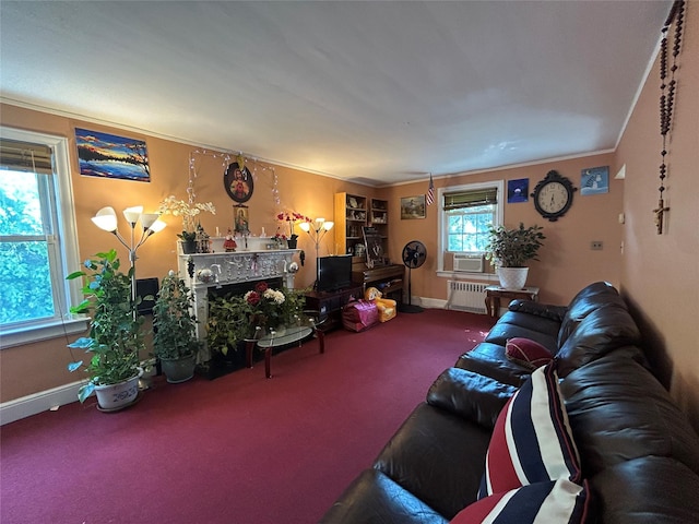 56 Helena Ave, Yonkers, NY 10710 - living room with radiator heating unit, carpet, crown molding, and cooling unit