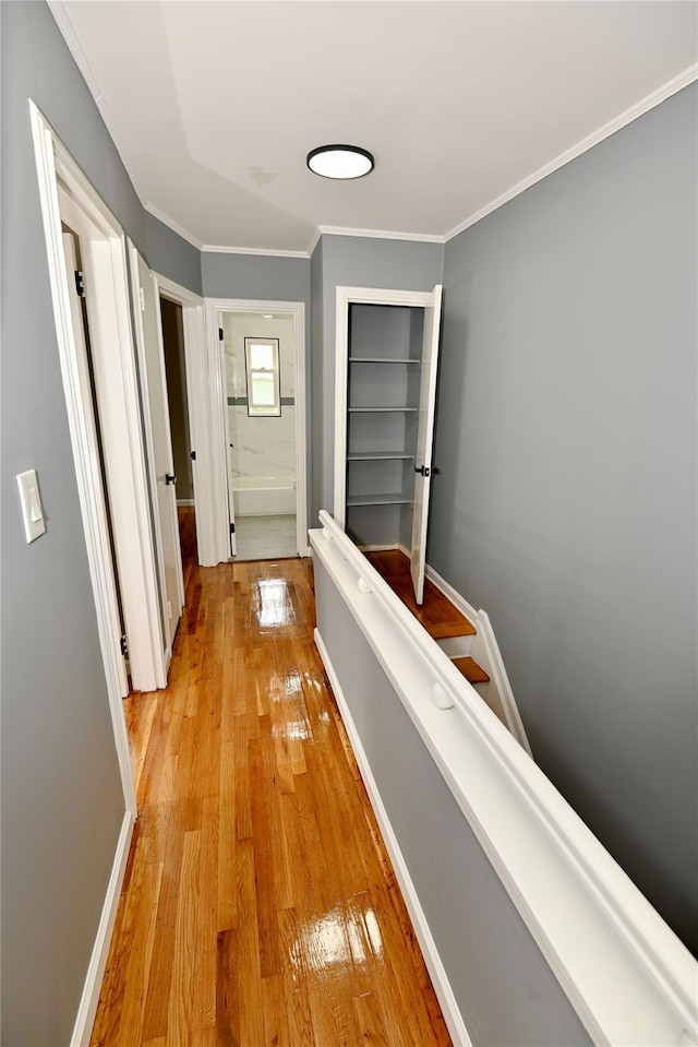 21928 141st Rd, Springfield Gardens, NY 11413 - photo 11