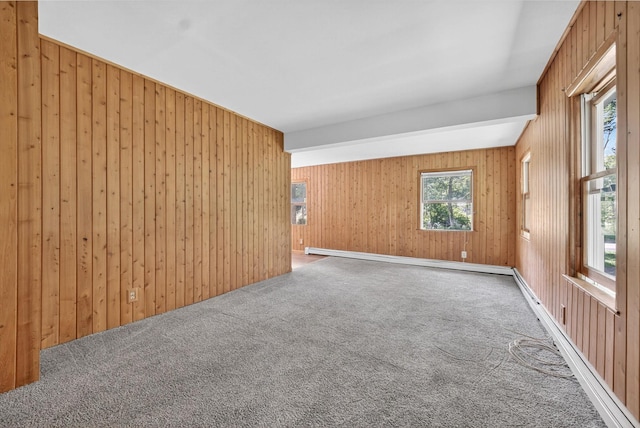 11 Tribune Ln, Red Hook, NY 12571 - empty room with carpet, wood walls, and a baseboard radiator