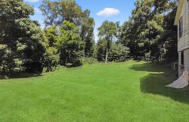 11 Tribune Ln, Red Hook, NY 12571 - view of grassy yard