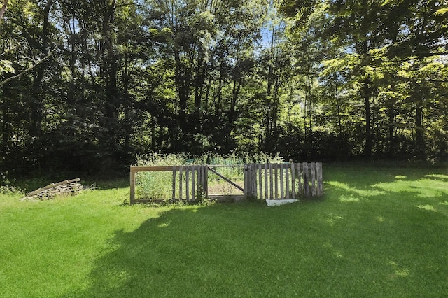 11 Tribune Ln, Red Hook, NY 12571 - view of yard