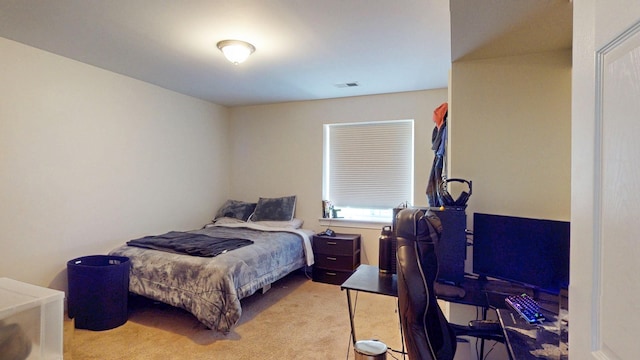 195 Pleasant Hill Rd, New Windsor, NY 12553 - photo 35