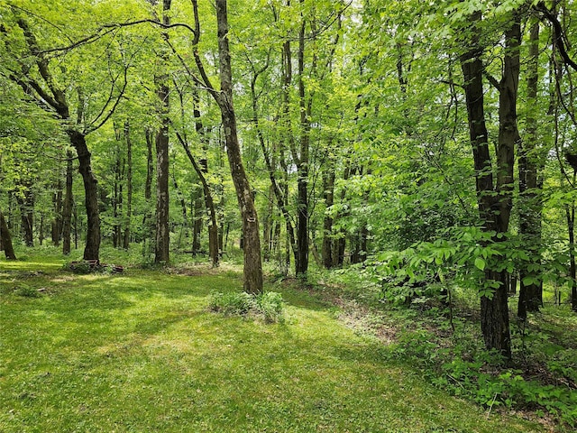 2 Redmond Way, Stanfordville, NY 12581 - view of tree filled area