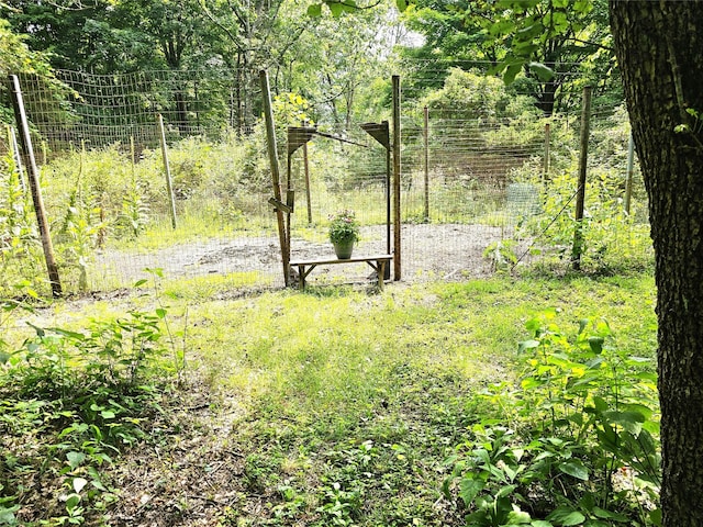 2 Redmond Way, Stanfordville, NY 12581 - view of yard with a view of trees