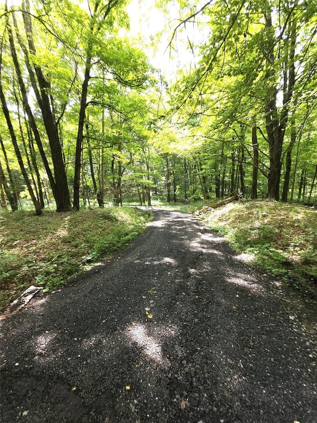 2 Redmond Way, Stanfordville, NY 12581 - view of street featuring a wooded view