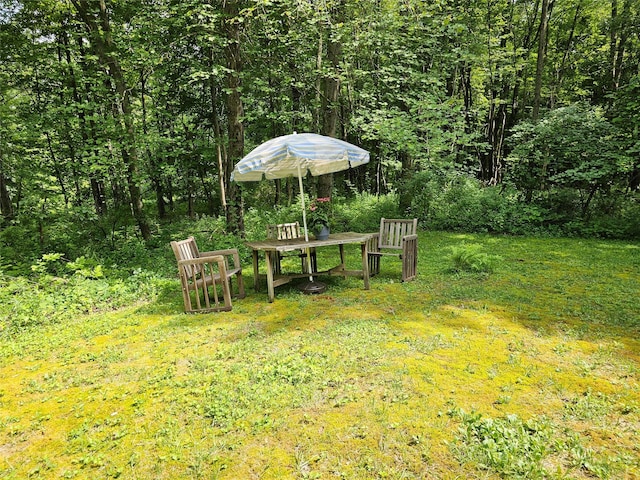 2 Redmond Way, Stanfordville, NY 12581 - view of yard featuring a wooded view