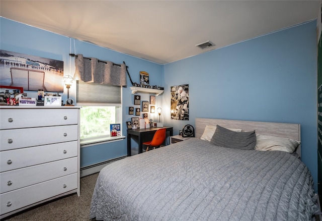48 Devon Rd, Patterson, NY 12563 - bedroom with a baseboard radiator and carpet floors