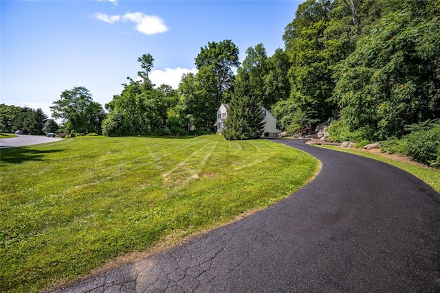 48 Devon Rd, Patterson, NY 12563 - view of asphalt driveway