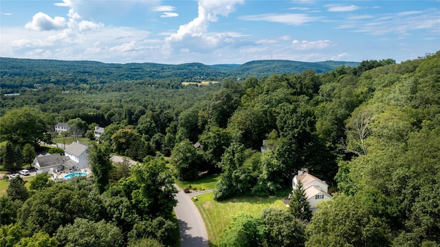 48 Devon Rd, Patterson, NY 12563 - drone / aerial view of a forest