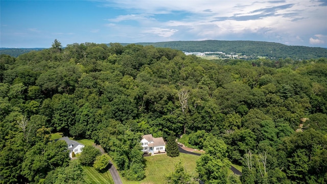 48 Devon Rd, Patterson, NY 12563 - bird's eye view of a forest