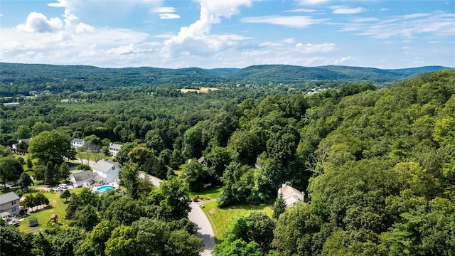 48 Devon Rd, Patterson, NY 12563 - bird's eye view of a mountainous background