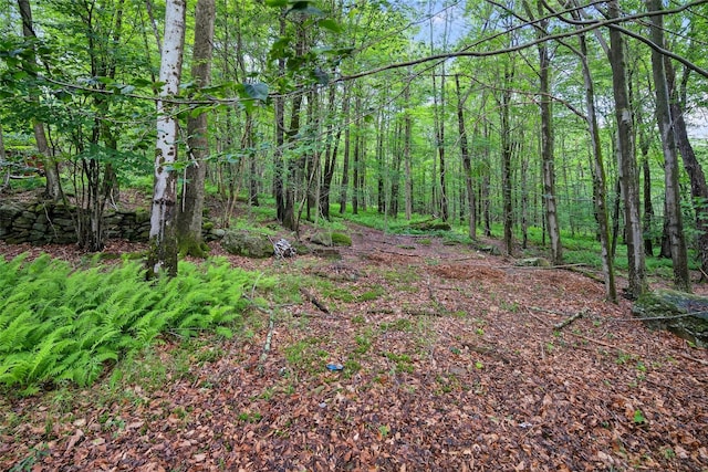 65 Timber Hill Ln, South Fallsburg, NY 12779 - photo 28