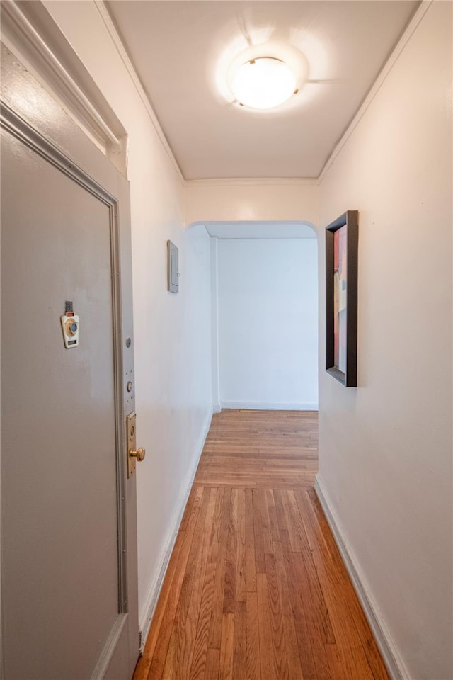 4037 77th St Unit 5B, Elmhurst, NY 11373 - hallway featuring light wood finished floors