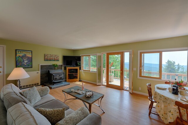101 Porcupine Rd, Grahamsville, NY 12740 - photo 9