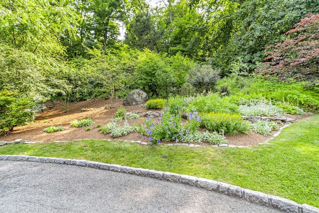 77 Haights Cross Rd, Chappaqua, NY 10514 - view of green lawn