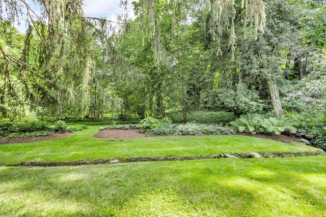 77 Haights Cross Rd, Chappaqua, NY 10514 - view of green lawn