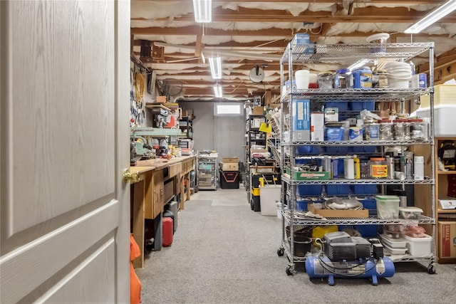 9 Clark Rd, Goshen, NY 10924 - view of storage