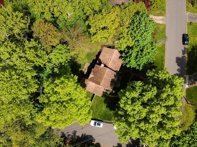 18 Nursery Rd, Melville, NY 11747 - photo 12