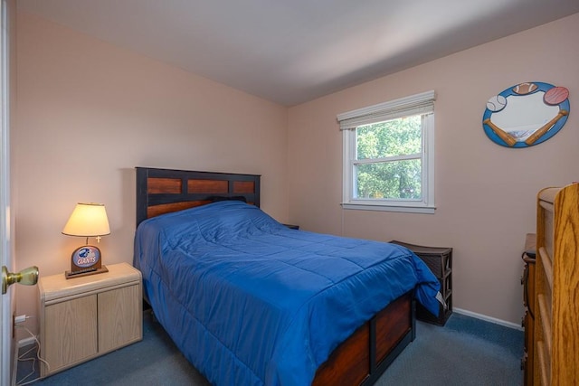 7 Gilmore Dr, Stony Point, NY 10980 - bedroom featuring carpet floors and baseboards