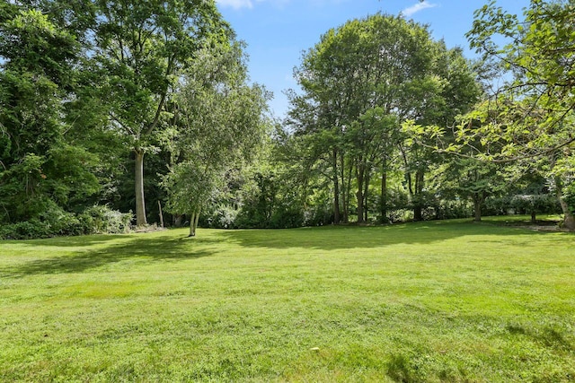 9 Carol Ct, Brewster, NY 10509 - view of green lawn