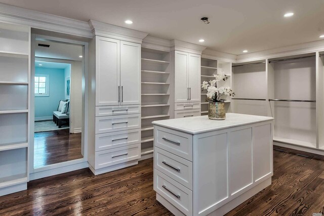 272 Crabapple Rd, Manhasset, NY 11030 - spacious closet with dark wood-style floors