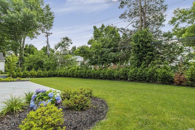 272 Crabapple Rd, Manhasset, NY 11030 - view of grassy yard