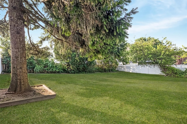 7 Frank Ave, Farmingdale, NY 11735 - photo 29