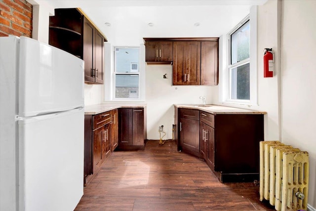 1519 Rosedale Ave, Bronx, NY 10460 - kitchen featuring freestanding refrigerator, radiator, dark wood finished floors, dark brown cabinets, and open shelves