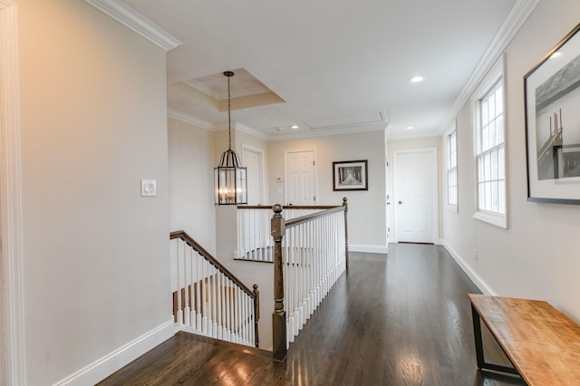 21 The Rise, Woodbury, NY 11797 - photo 19
