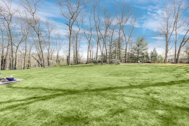 21 The Rise, Woodbury, NY 11797 - photo 29