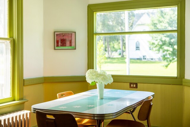 7432 S Broadway, Red Hook, NY 12571 - dining room with radiator heating unit