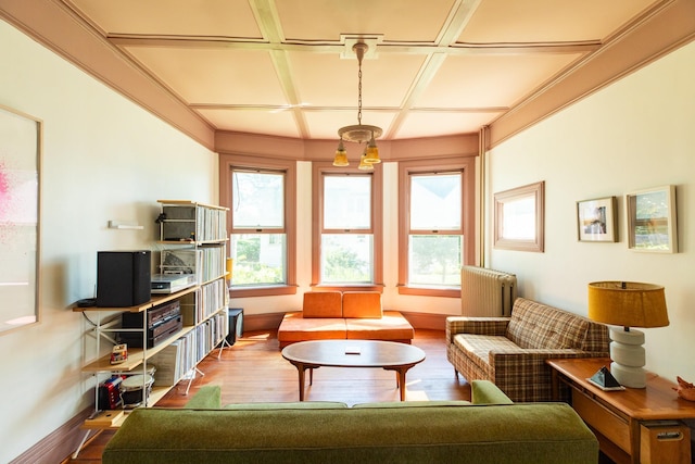 7432 S Broadway, Red Hook, NY 12571 - living area featuring coffered ceiling, wood finished floors, plenty of natural light, and radiator