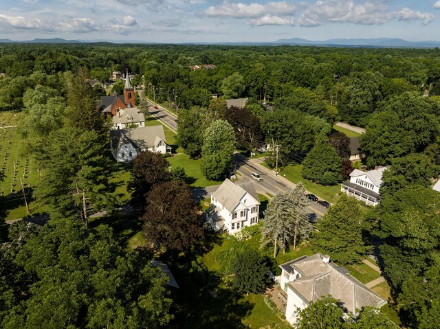 7432 S Broadway, Red Hook, NY 12571 - aerial view of property's location featuring a forest