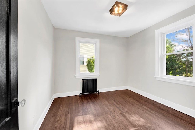 4 Cedar St, Hastings-On-Hudson, NY 10706 - spare room featuring radiator, dark wood-style flooring, and plenty of natural light
