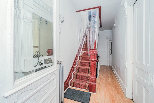 260 Covert St, Brooklyn, NY 11207 - photo 28