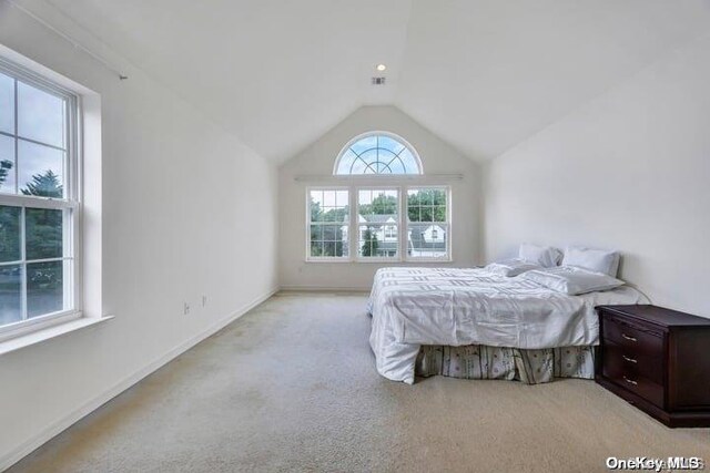 75 Province Dr, South Setauket, NY 11720 - photo 43