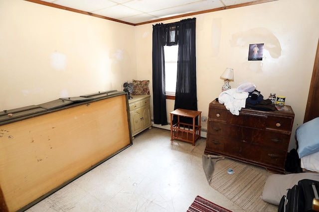 11620 State Route 97, Long Eddy, NY 12760 - bedroom with light floors, a baseboard radiator, and ornamental molding