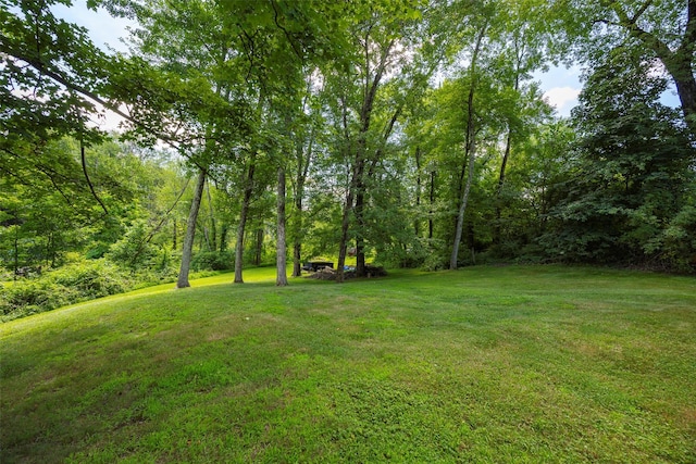 5 Norah Ln, Hyde Park, NY 12538 - photo 21