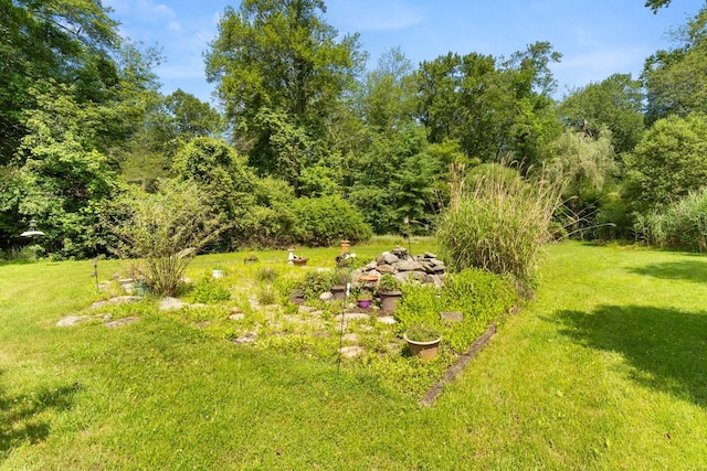 15 Glen Dr, South Salem, NY 10590 - view of grassy yard