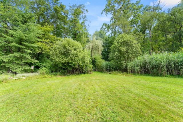 15 Glen Dr, South Salem, NY 10590 - view of grassy yard